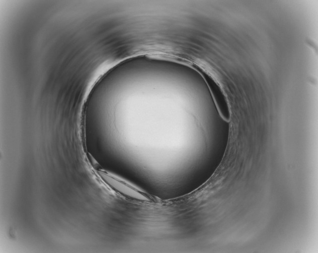 X0000096461104200802071828