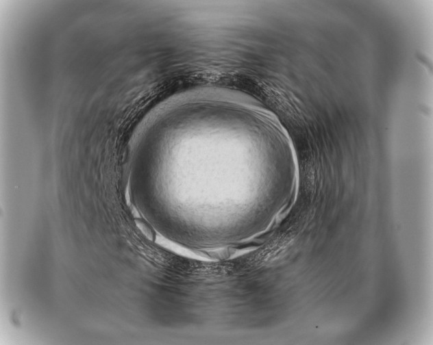 X0000096461105200802071828