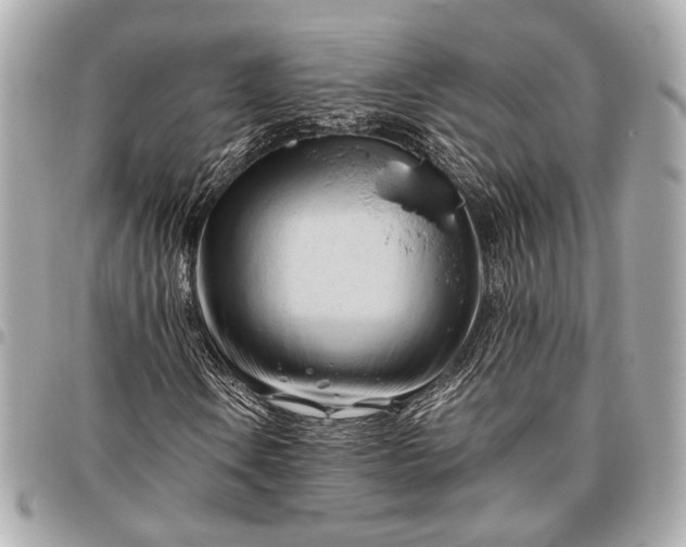 X0000096461106200802071828