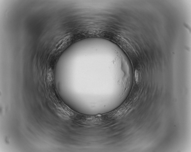 X0000096461107200802071828