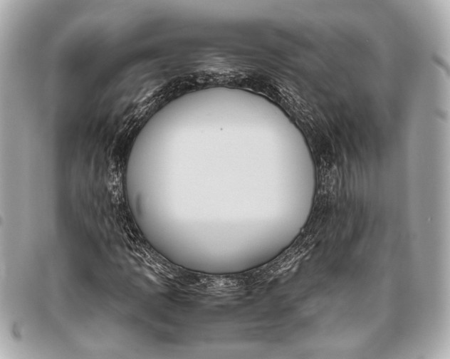 X0000096461109200802071828