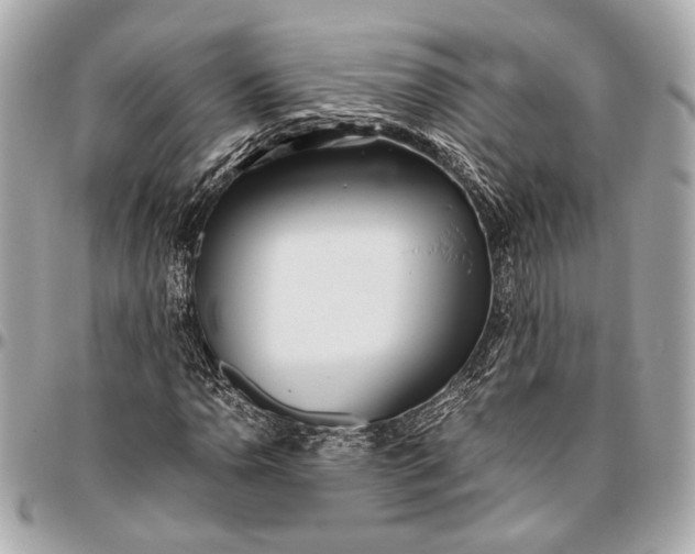 X0000096461110200802071828
