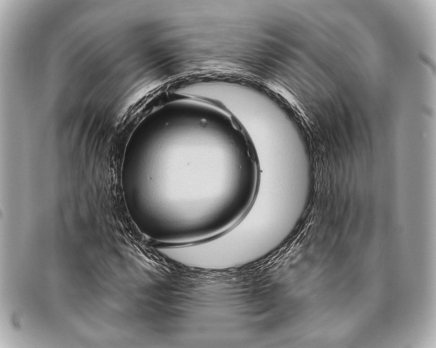 X0000096461112200802071828