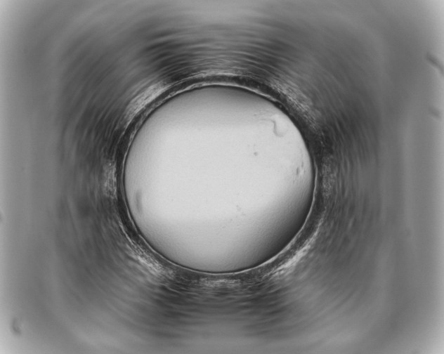 X0000096461113200802071828