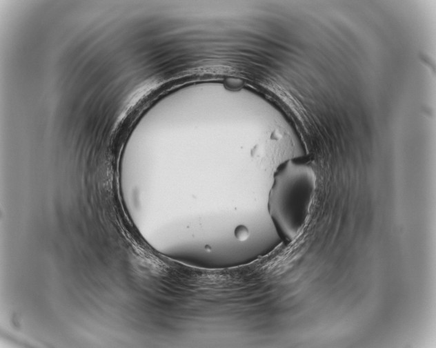 X0000096461115200802071828