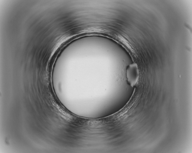 X0000096461116200802071828