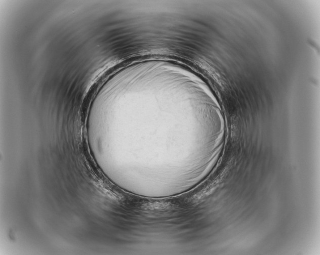 X0000096461117200802071828