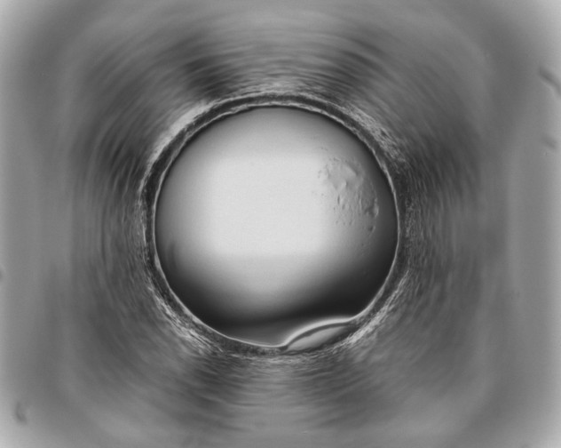 X0000096461118200802071828