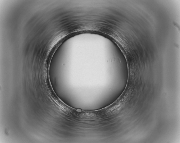 X0000096461119200802071828