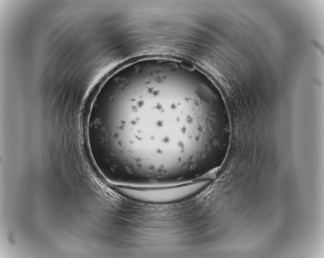 X0000096461120200802071828