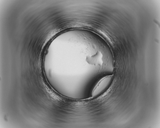 X0000096461122200802071828