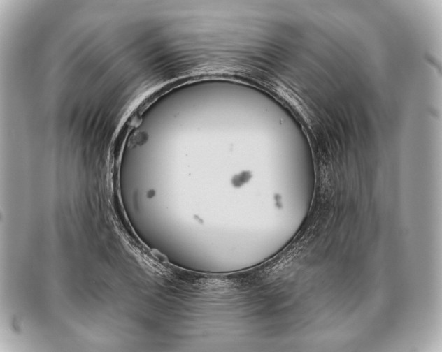 X0000096461124200802071828