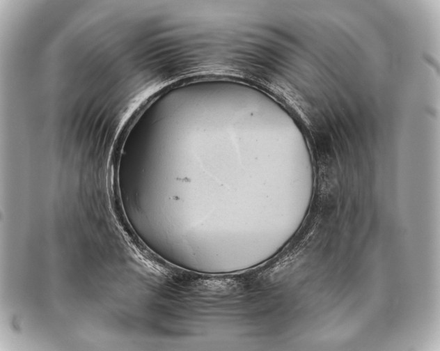 X0000096461125200802071828