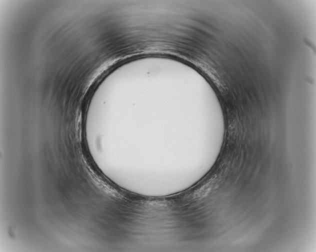 X0000096461126200802071828