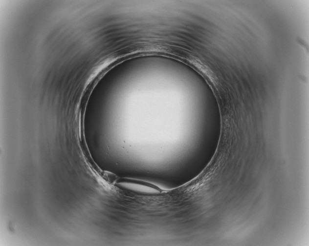X0000096461127200802071828