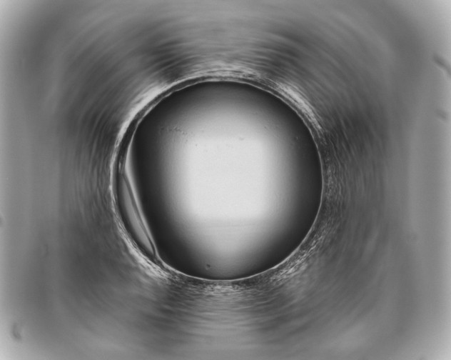 X0000096461128200802071828