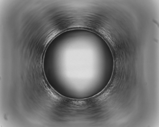 X0000096461129200802071828
