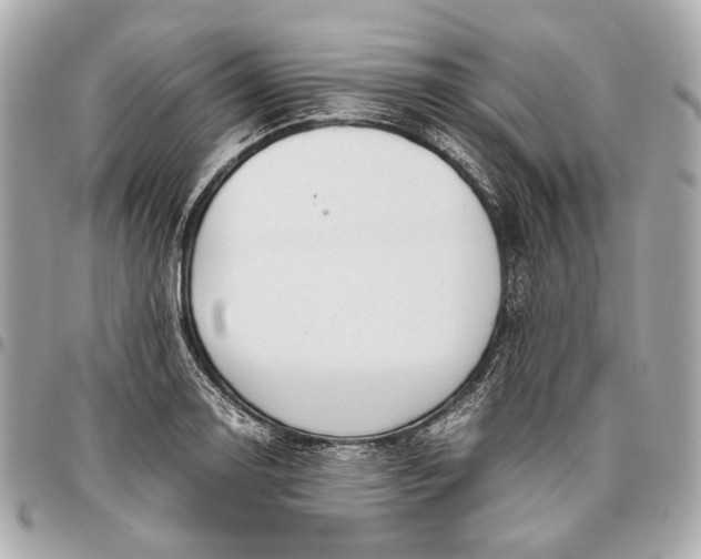 X0000096461130200802071828