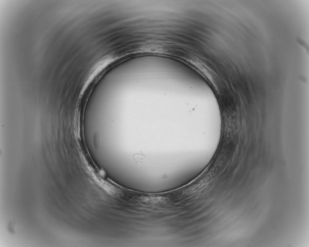 X0000096461131200802071828