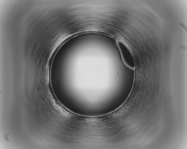 X0000096461132200802071828