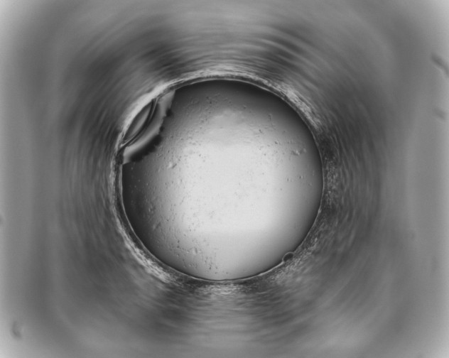 X0000096461134200802071828