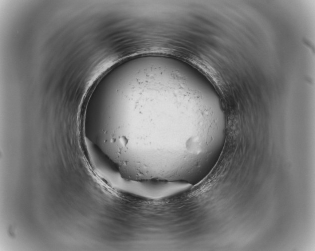 X0000096461135200802071828