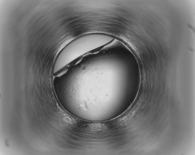 X0000096461137200802071828