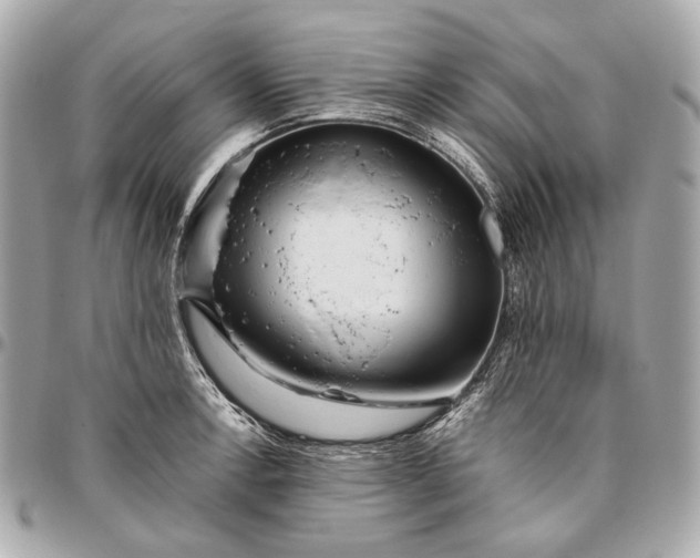 X0000096461138200802071828