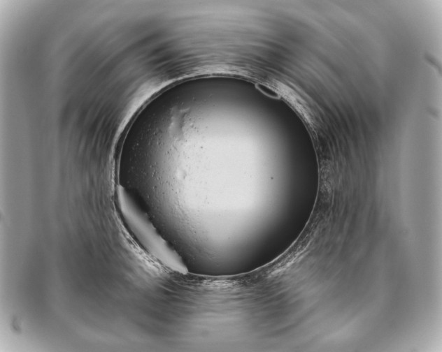 X0000096461140200802071828