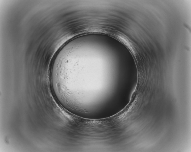 X0000096461141200802071828