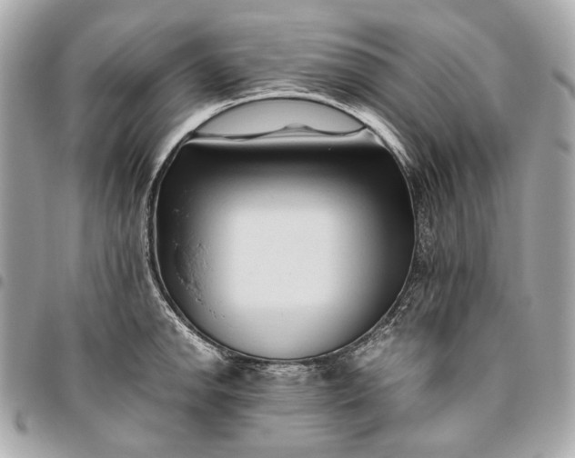 X0000096461142200802071828