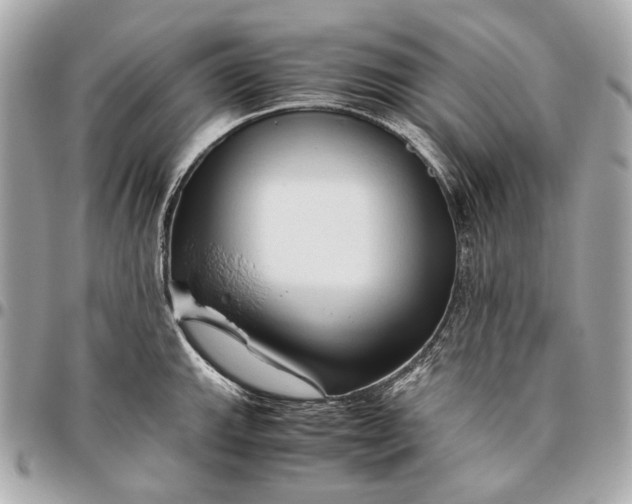 X0000096461143200802071828