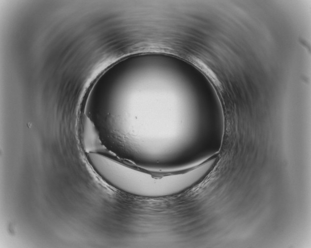 X0000096461144200802071828