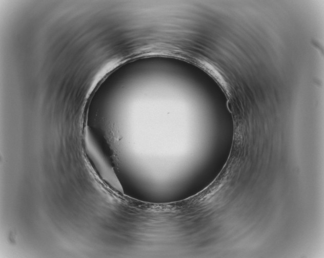X0000096461146200802071828