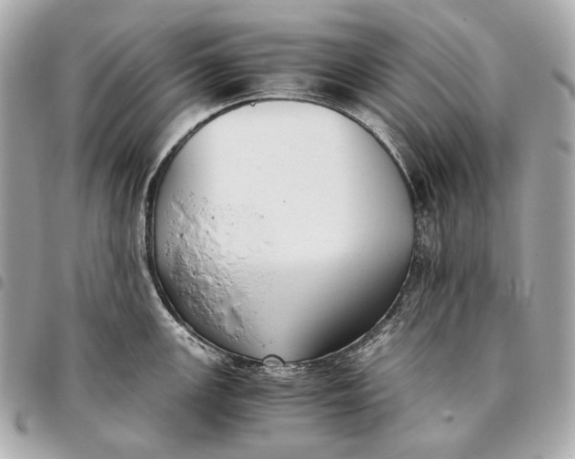 X0000096461147200802071828