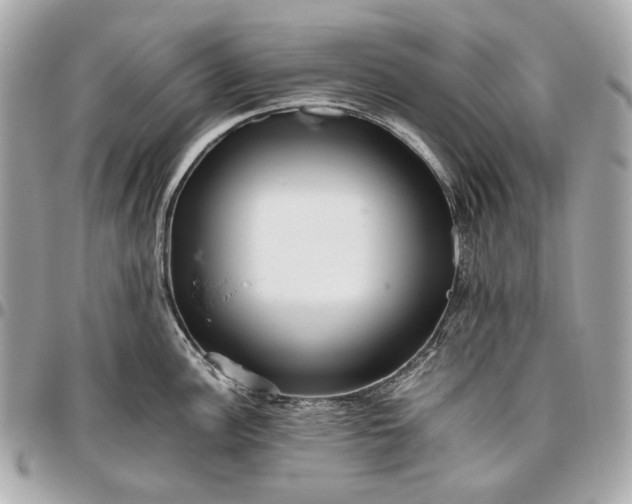 X0000096461148200802071828