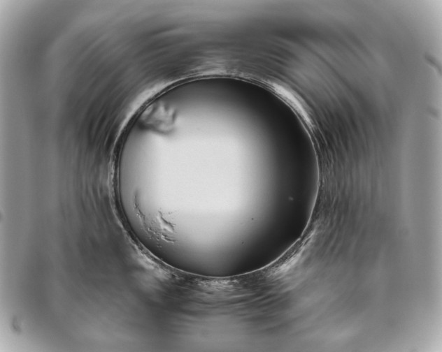 X0000096461149200802071828