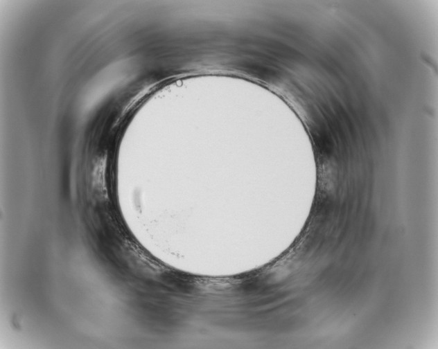 X0000096461150200802071828
