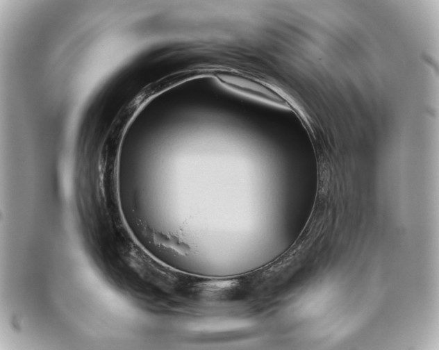 X0000096461151200802071828