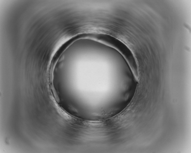 X0000096461152200802071828