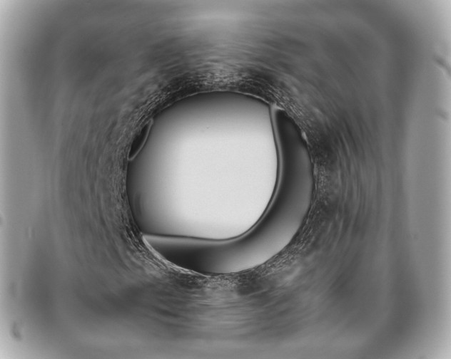X0000096461153200802071827