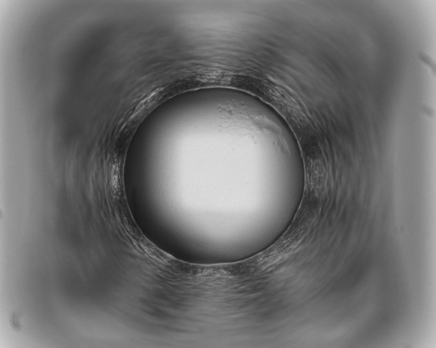 X0000096461154200802071827