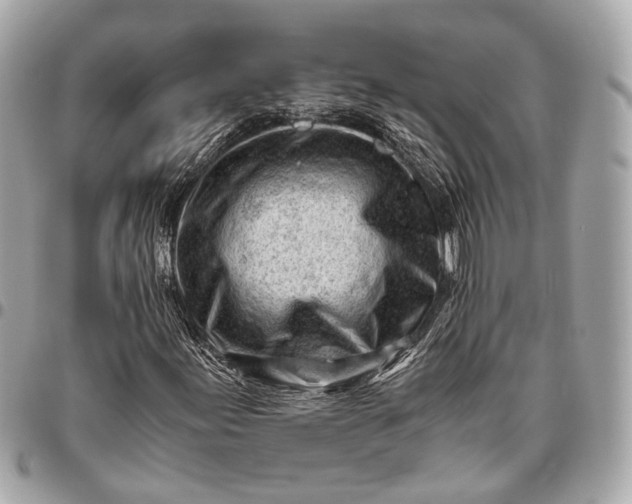 X0000096461155200802071827