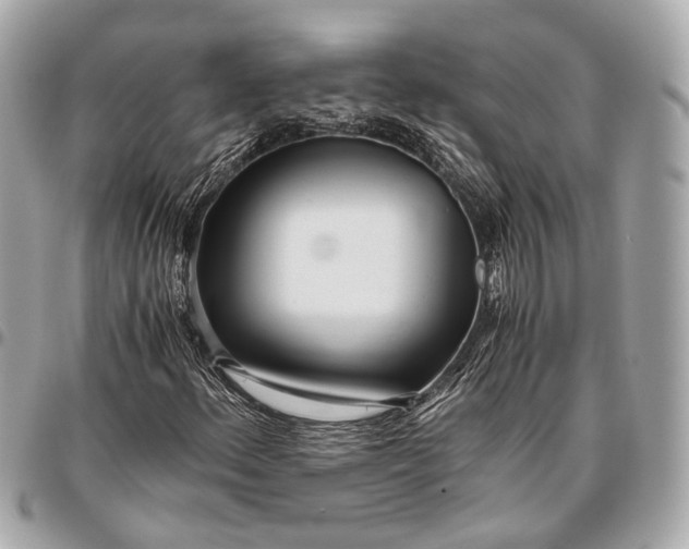 X0000096461156200802071827