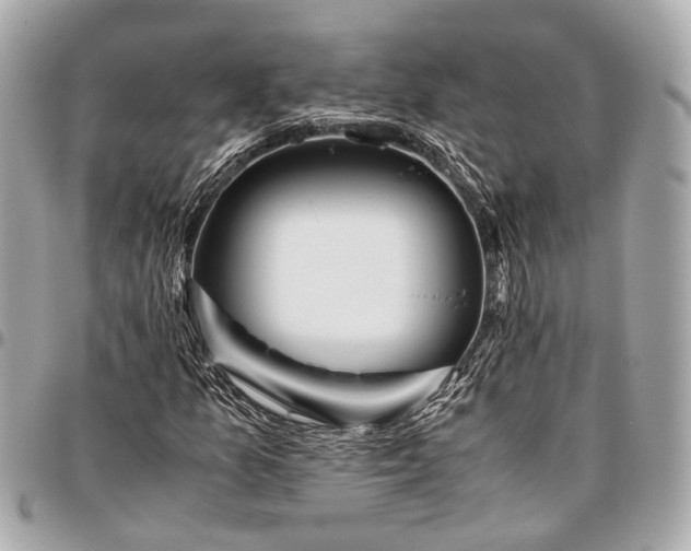 X0000096461157200802071827