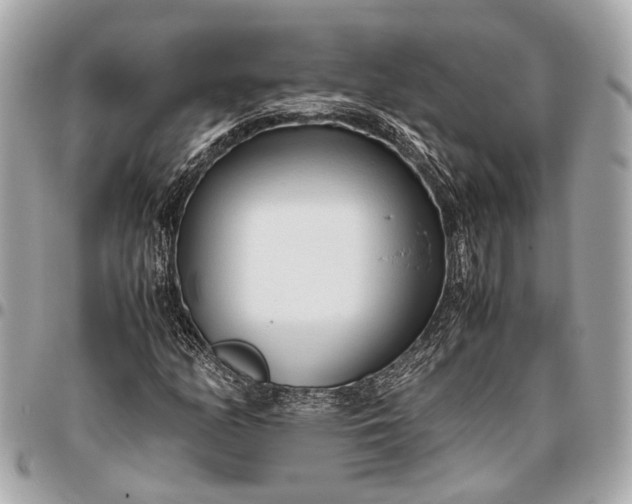 X0000096461158200802071827