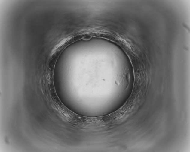 X0000096461159200802071827