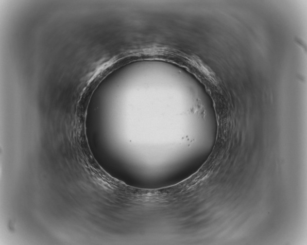 X0000096461160200802071827