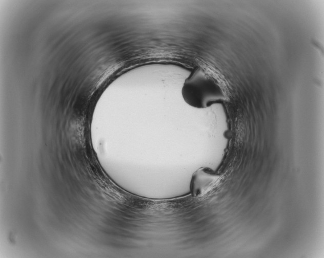 X0000096461162200802071827