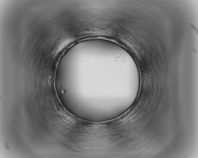 X0000096461163200802071827